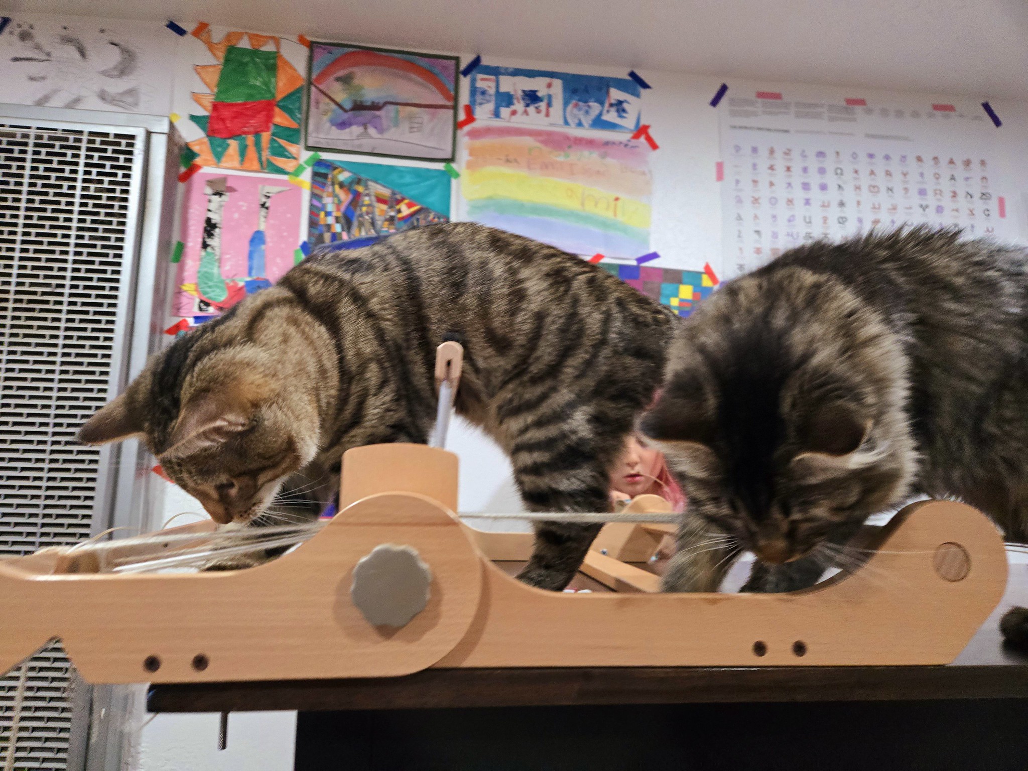 Kittens walking on a loom